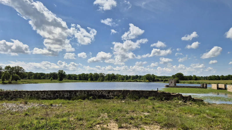 Terrain - 171 986 m²