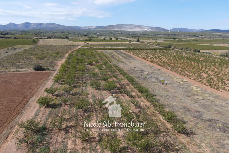 Terrain agricole - 21 895 m²