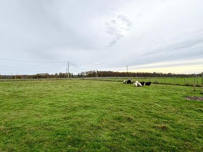 Maison - 150 m² - 1 pièce