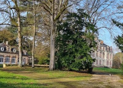 Manoir - 1 850 m² - 30 pièces