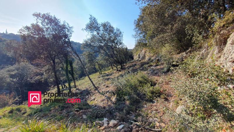 Terrain constructible - 3 000 m²