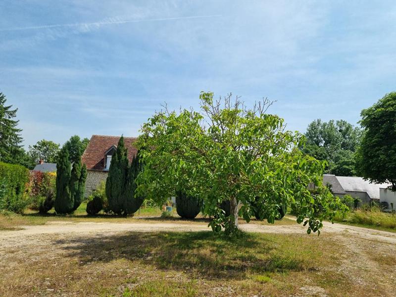 Longère - 260 m² - 5 pièces