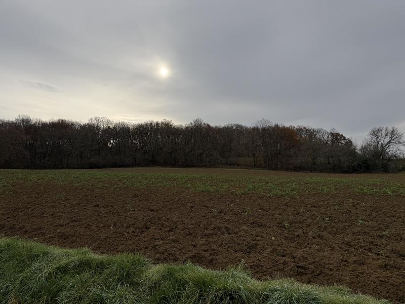 Terrain - 34 735 m²