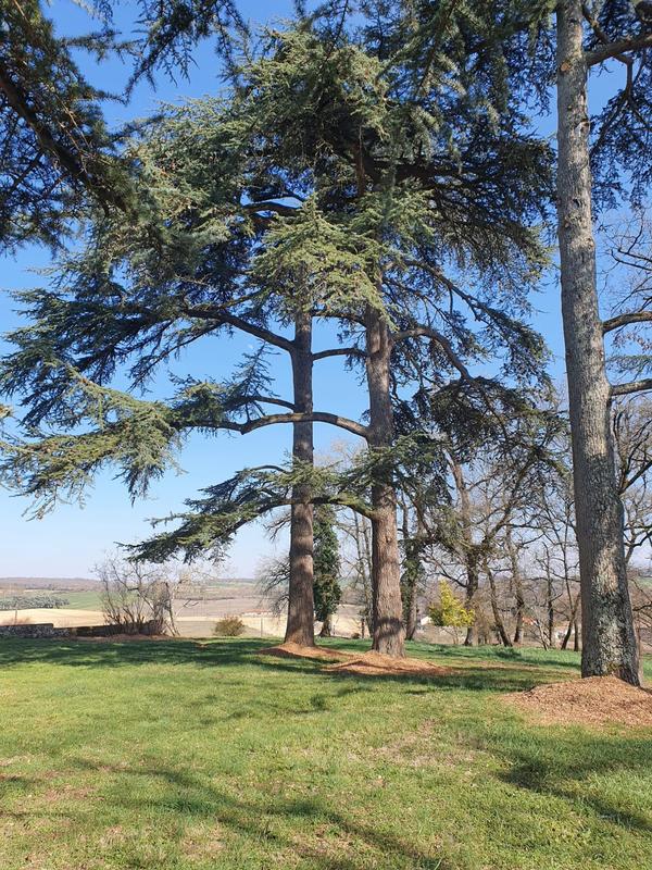 Maison - 300 m² - 10 pièces