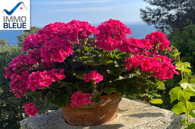 Villa - 127 m² - 4 pièces