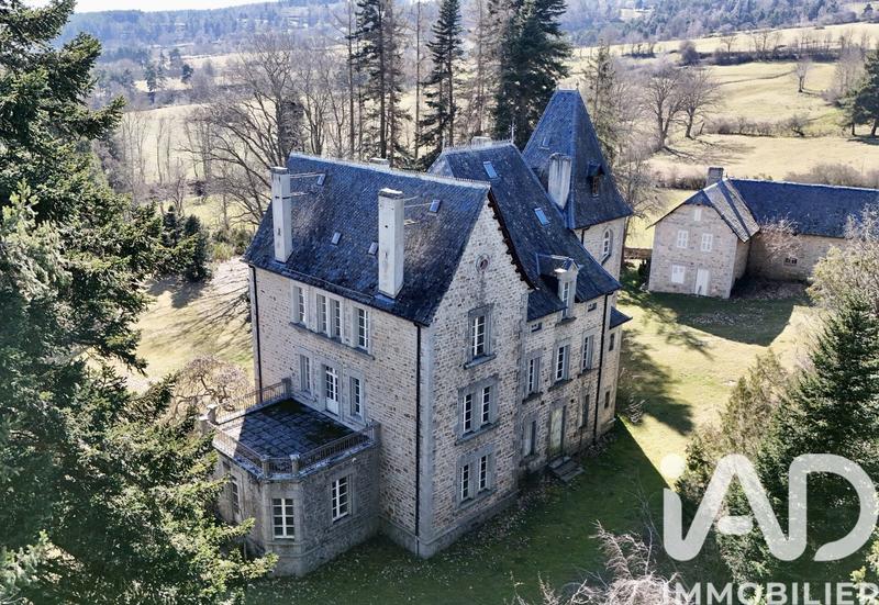 Château - 550 m² - 21 pièces