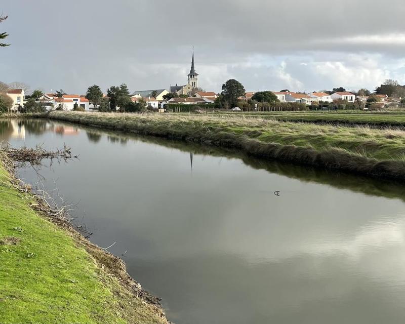 Terrain - 11 140 m²