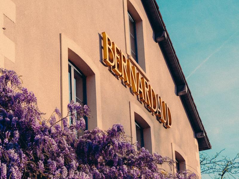 Finale du championnat du monde de Chou Farci