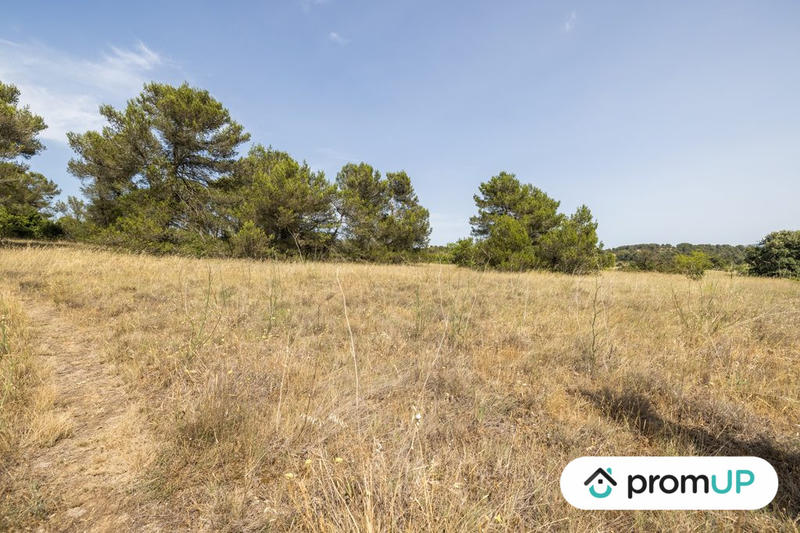 Terrain de loisirs - 8 952 m²