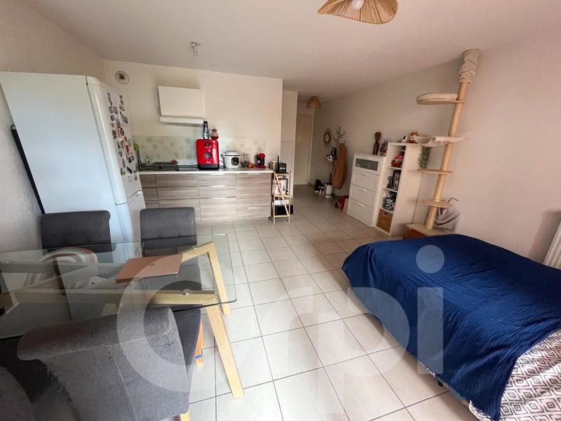 Studio - 31 m² - 1 pièce