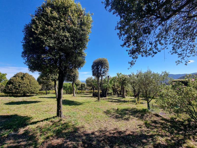 Propriété - 270 m² - 8 pièces