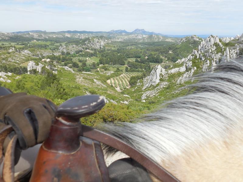 Randonnée à cheval en pension complète ou à la journée aux Ecuries du Petit Roman