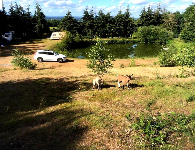 Terrain de loisirs - 6 844 m²