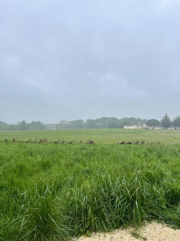 Terrain constructible - 551 m²