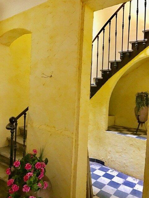 Maison - 450 m² - 14 pièces