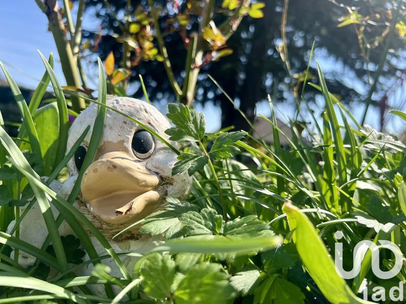 Maison - 151 m² - 6 pièces