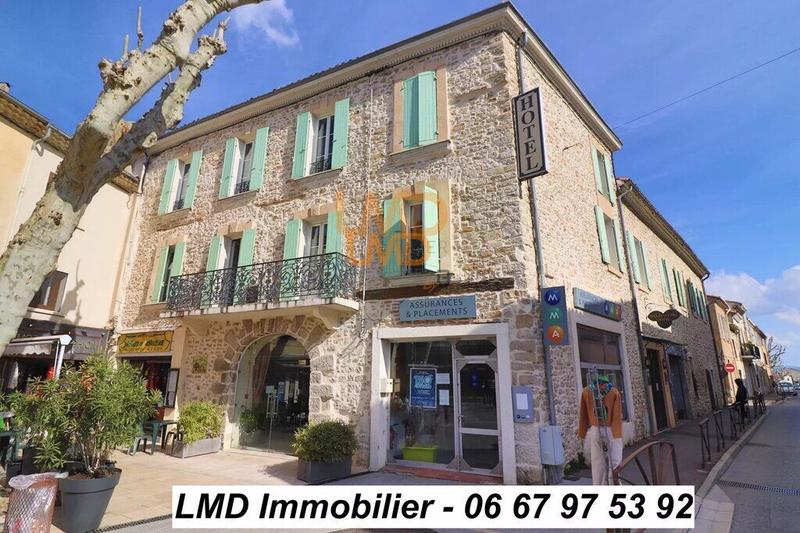 Hôtel particulier - 665 m²