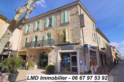 Hôtel particulier - 665 m²