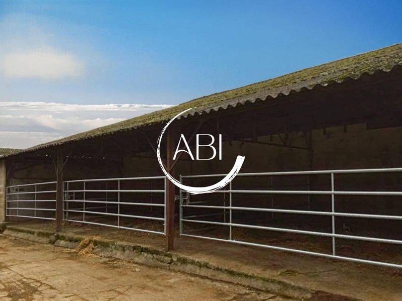 Maison ancienne - 110 m² - 5 pièces