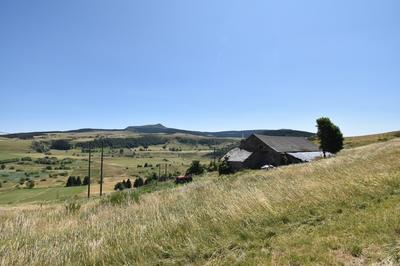 Maison en pierre - 350 m² - 3 pièces