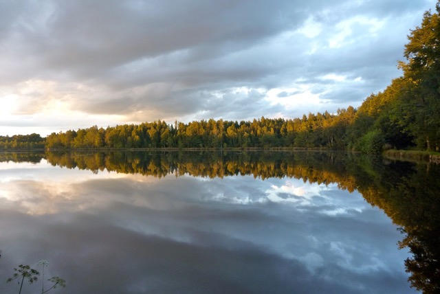 Étang - 142 558 m²