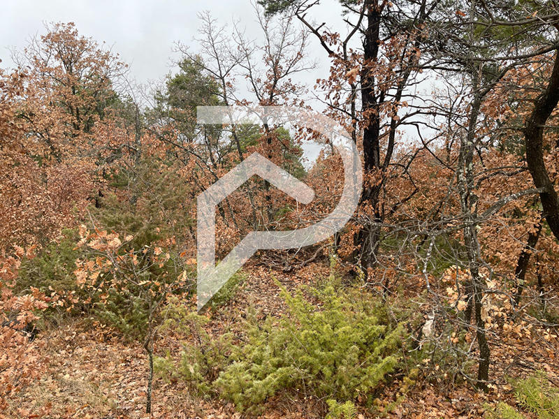 Terrain agricole - 37 641 m²