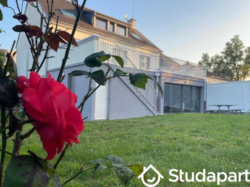 Chambre - 21 m² - 1 pièce