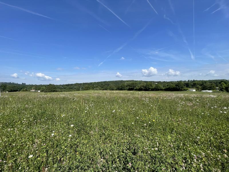 Terrain constructible - 1 566 m²