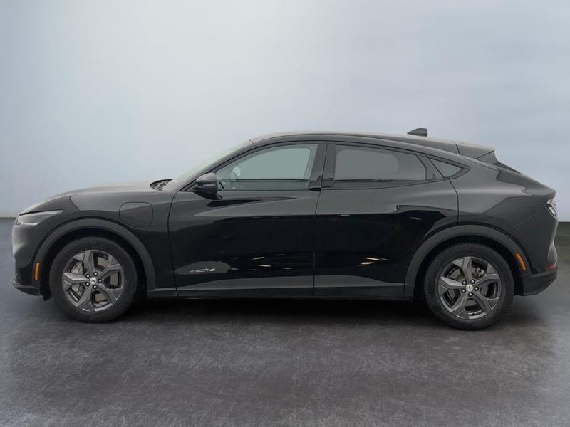 Ford Mustang Mach-E Standard Range 76 kWh 269 ch