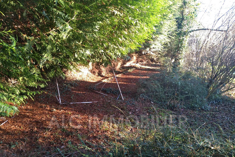 Terrain de loisirs - 5 690 m²