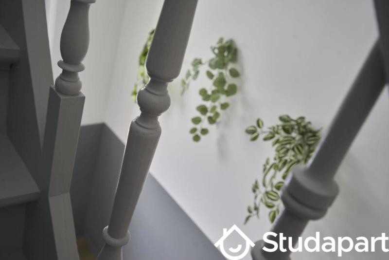 Chambre - 11 m² - 1 pièce