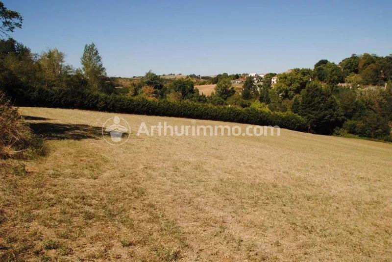 Terrain - 990 m²