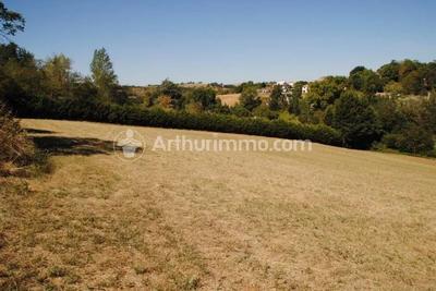 Terrain - 990 m²