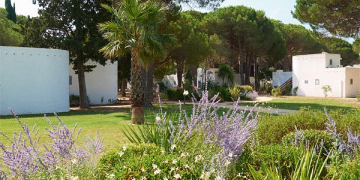 Appartement - 31 m² - 2 pièces