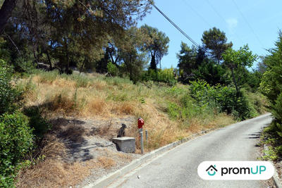 Terrain - 10 000 m²