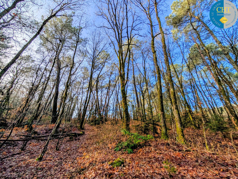 Terrain - 20 680 m²