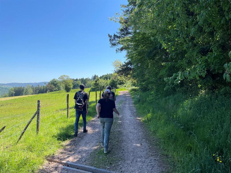 Randonnée printanière