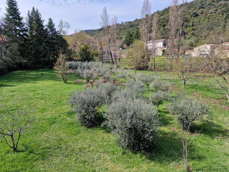 Maison provençale - 220 m² - 10 pièces