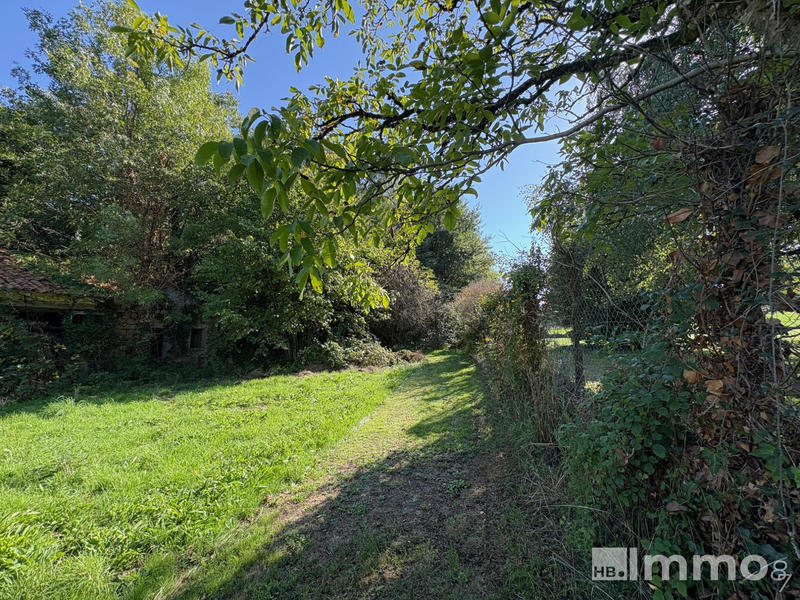 Terrain agricole - 1 288 m²