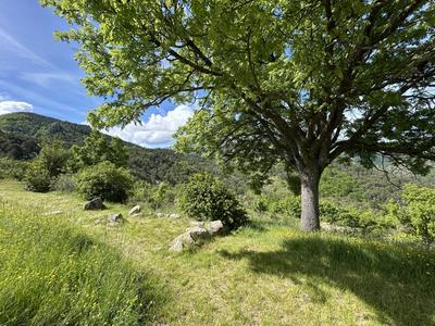 Maison - 195 m² - 8 pièces