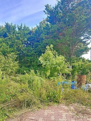 Maison - 65 m² - 3 pièces