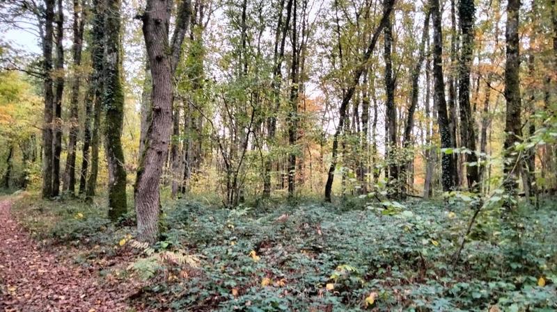 Terrain - 18 490 m²