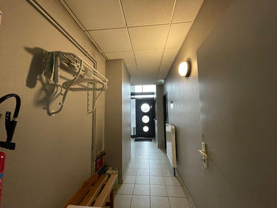 Local d'activité / Entrepôt - 216 m²