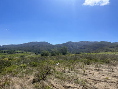 Terrain - 2 499 m²