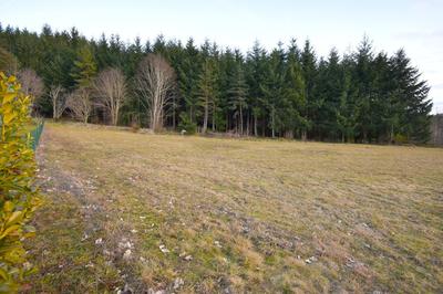 Terrain constructible - 2 297 m²