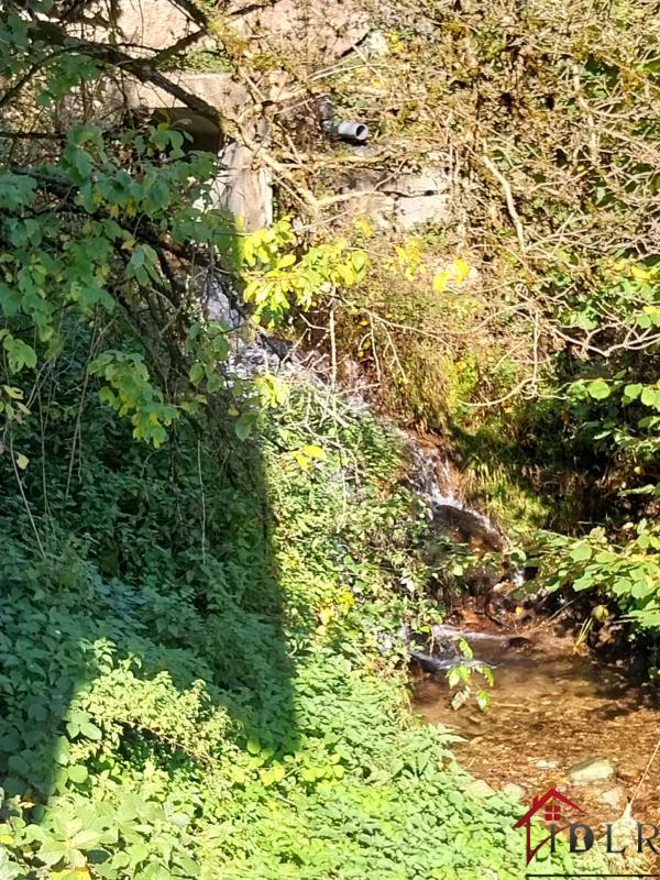 Ferme - 170 m² - 5 pièces