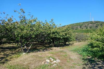 Terrain agricole - 7 121 m²