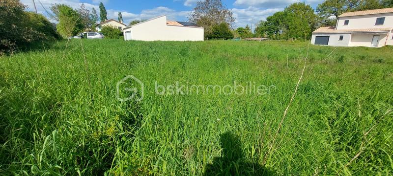 Terrain constructible - 1 300 m²