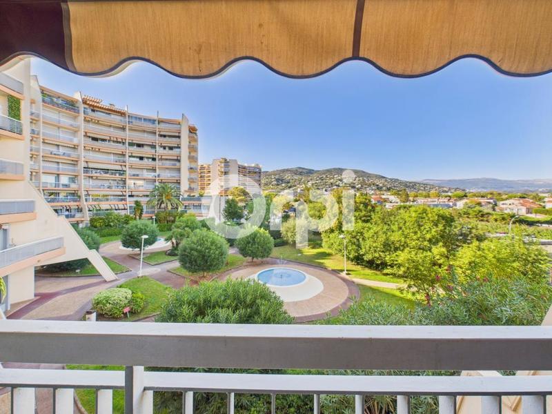 Studio - 24 m² - 1 pièce