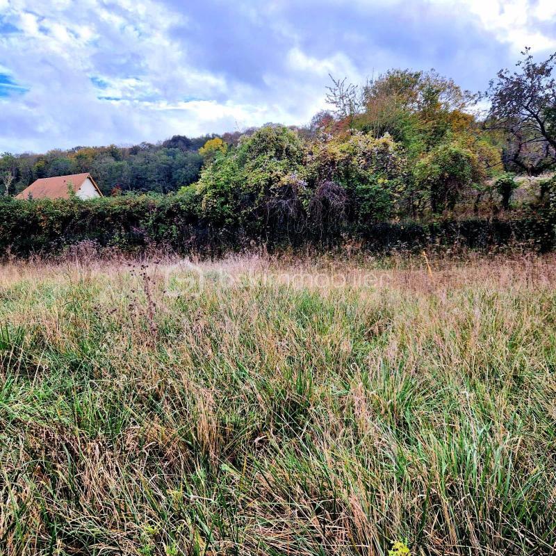 Local commercial - 780 m² - 15 pièces